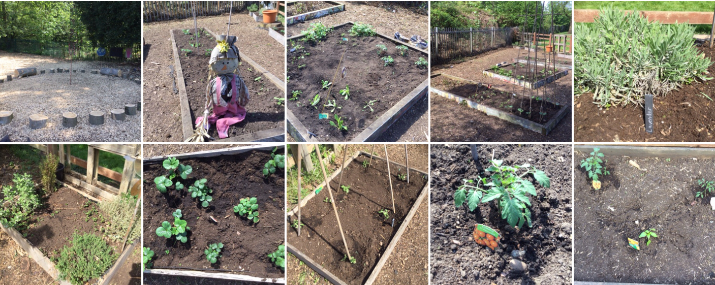 Image of Planting time!