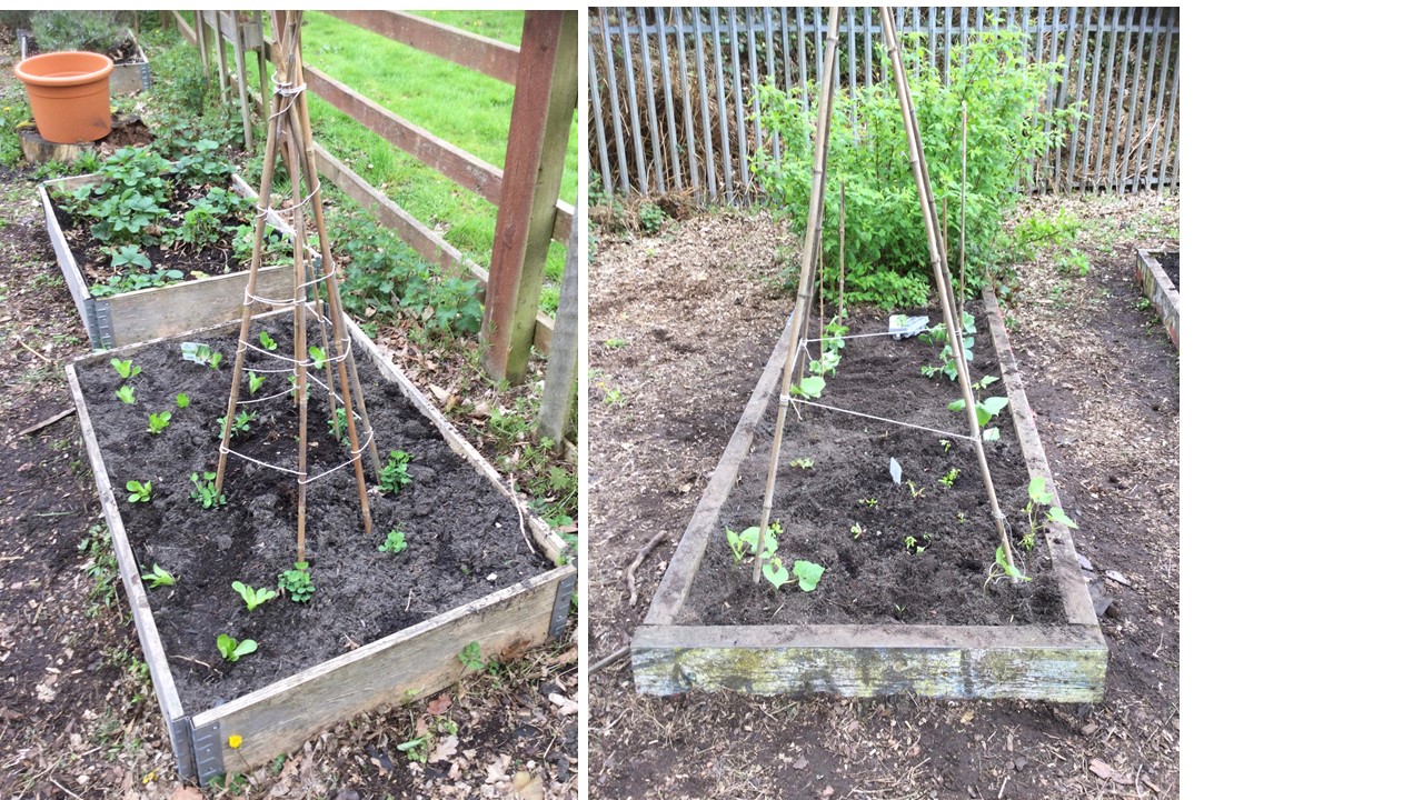 Image of Gardening Afternoon!