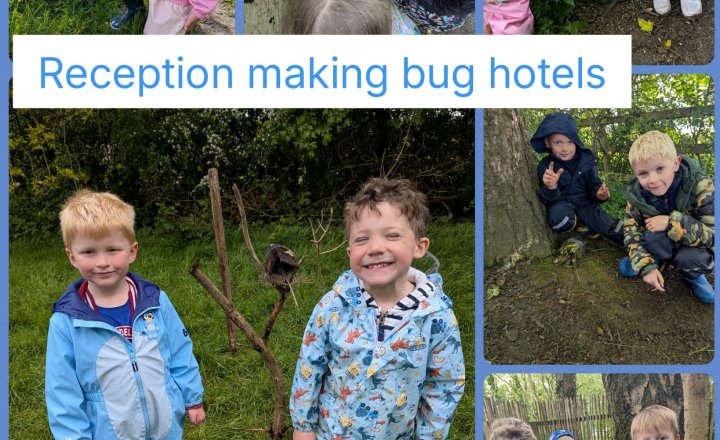 Image of Making Bug Hotels