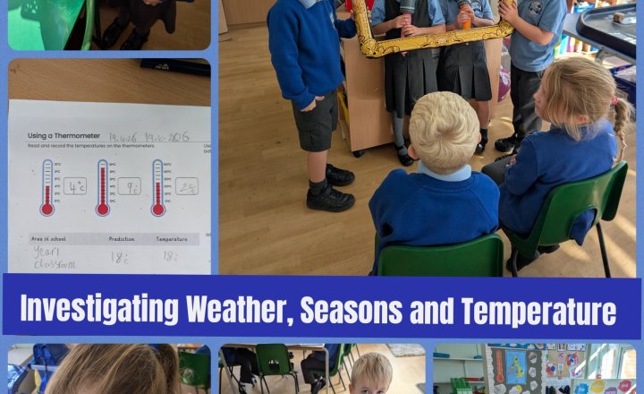 Image of Year 1 Investigations 