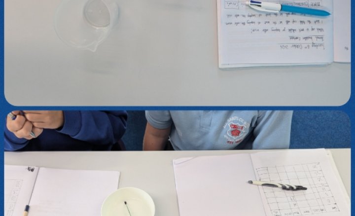 Image of Year 5 Thermal Insulator