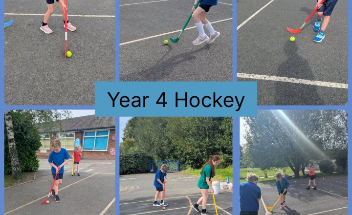 Image of Y4 Hockey 