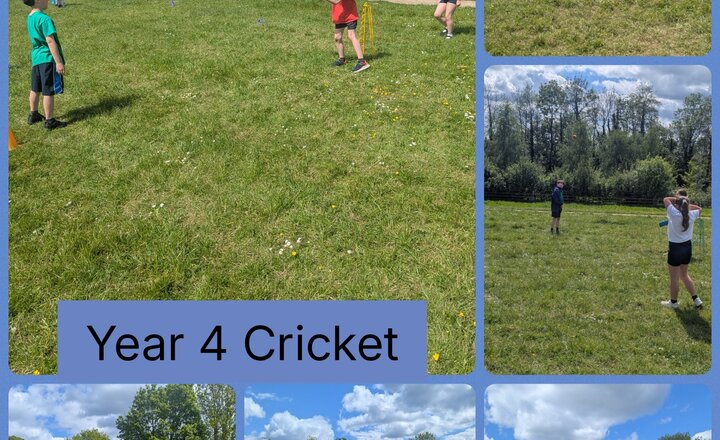 Image of Year 4 Cricket
