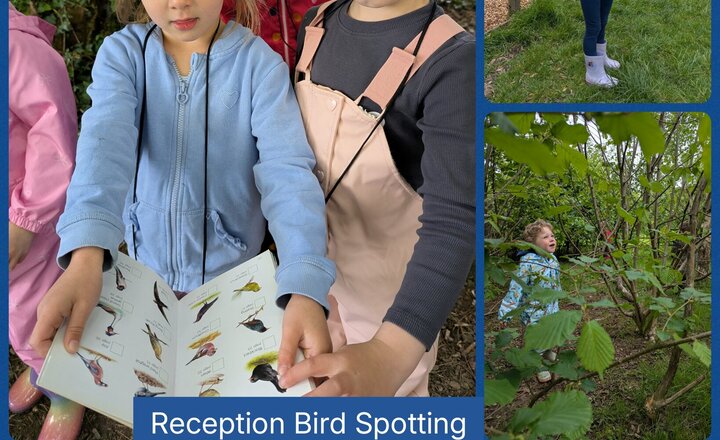 Image of Reception Bird Spotting