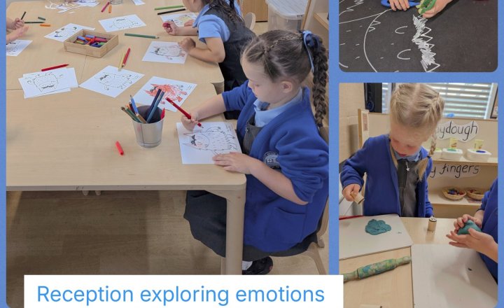 Image of Reception Emotions