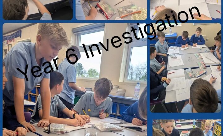 Image of Year 6 Refraction Investigation