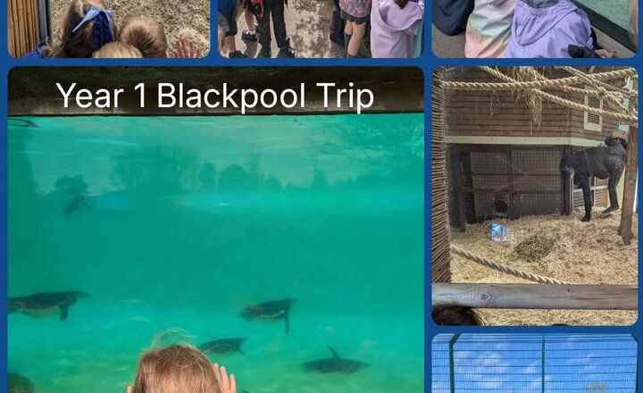 Image of Year 1 Trip To Blackpool
