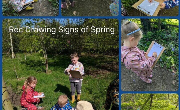 Image of Reception Drawing Early Signs of Spring