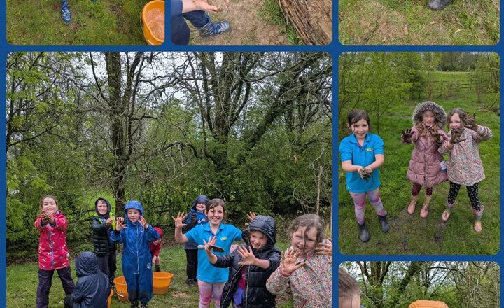 Image of Year 2 Down in the Forest