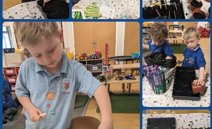 Image of Reception Planting Beans