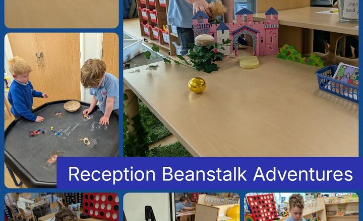 Image of Reception - Beanstalk Activties