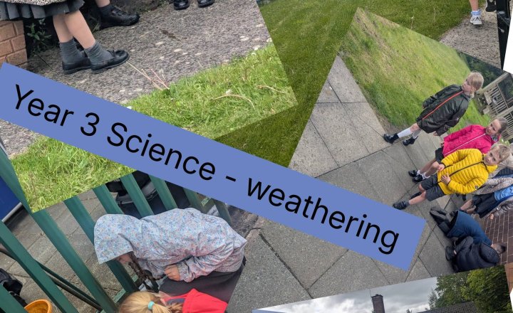 Image of Year 3 Weathering Observations