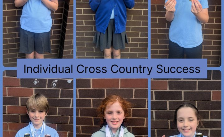Image of Individual Cross Country Success!