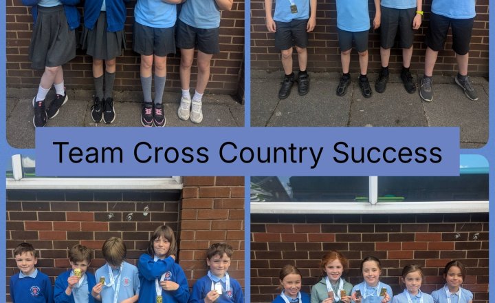 Image of Team Cross Country Success!