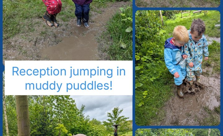 Image of Muddy Puddles in Reception