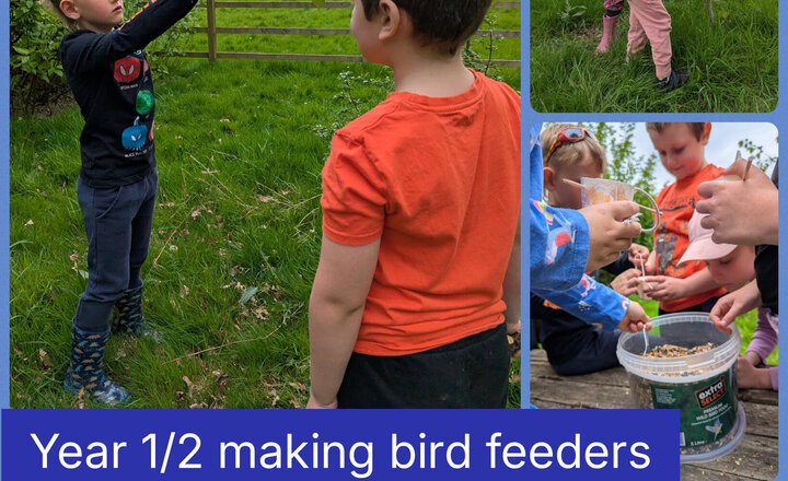 Image of Year 1/2 Bird Feeders