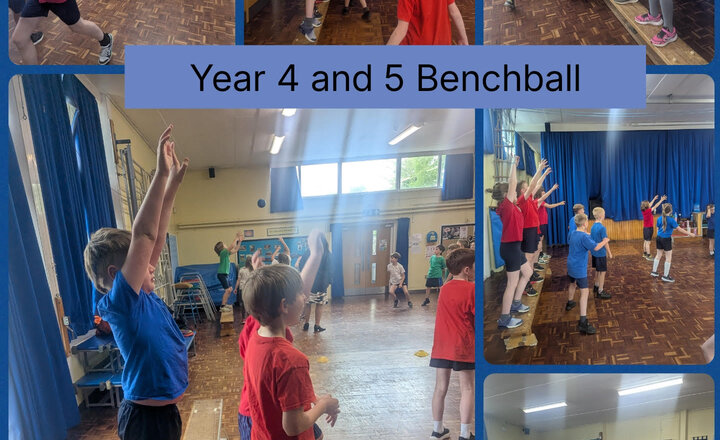 Image of Year 4/5 Benchball