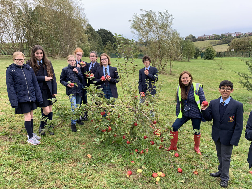 Image of Vote for our school sustainability project at Tesco!