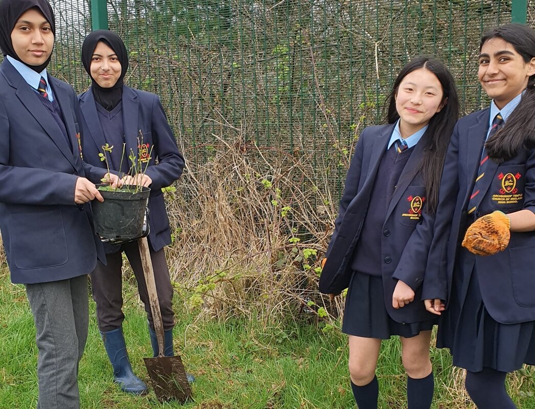 Image of Year 7 plant and learn the importance of trees in Geography