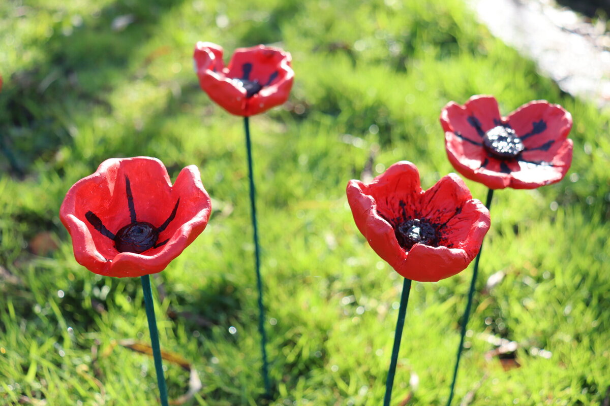 Image of Key Stage 3 create beautiful clay poppies to commemorate Remembrance Day