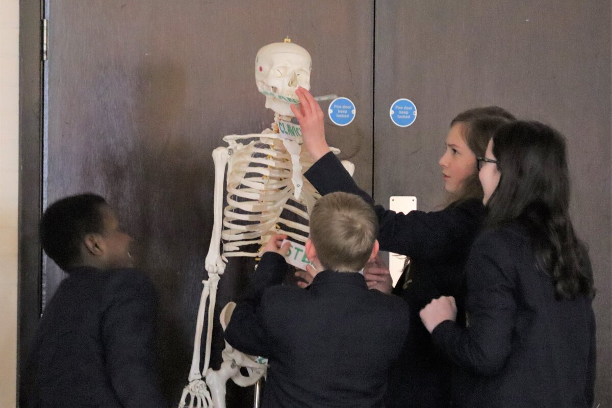 Image of National Careers Week - Pupils in year 7 find out about careers in radiography