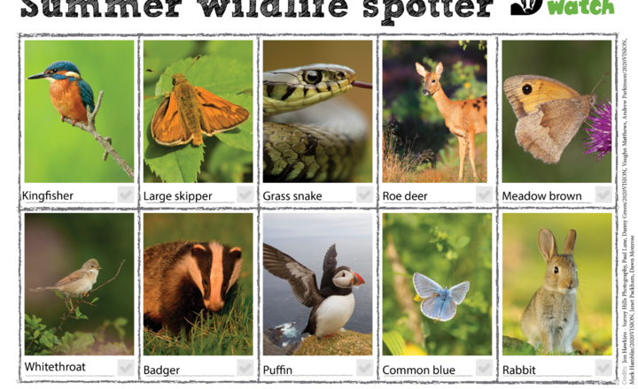 Image of School takes part in The Wildlife Trust's 30 Days Wild nature campaign