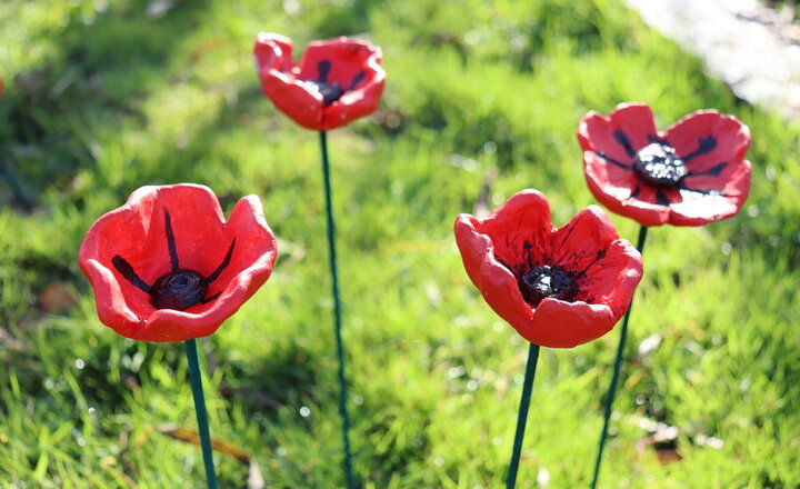 Image of Key Stage 3 create beautiful clay poppies to commemorate Remembrance Day