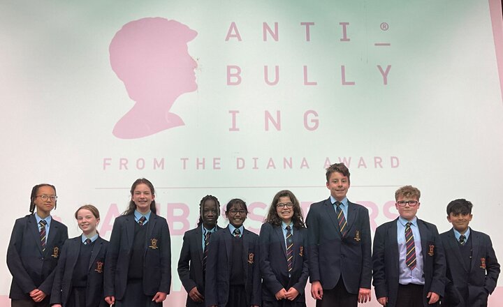 Image of Anti-Bullying Ambassadors take part in training