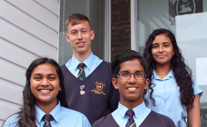 Image of Meet the Team