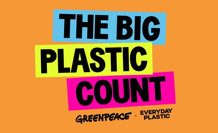 Image of Year 7 & 8 pupils to take part in Greenpeace's Big Plastic Count