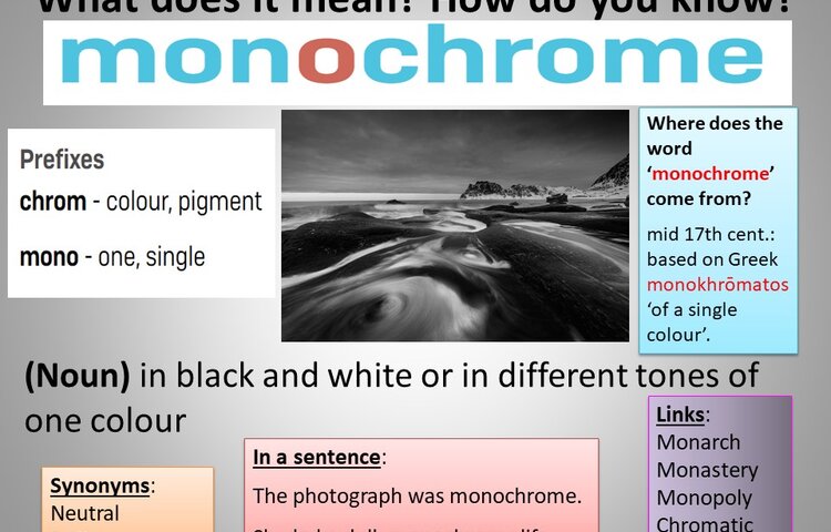 Image of Word of the Week - Monochrome