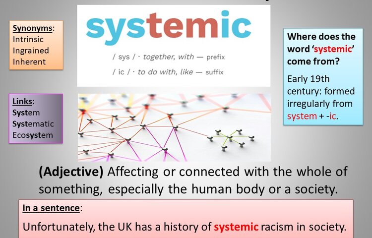 Image of Word of the week - Systemic