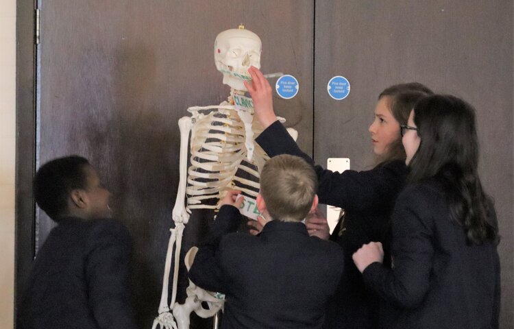 Image of National Careers Week - Pupils in year 7 find out about careers in radiography