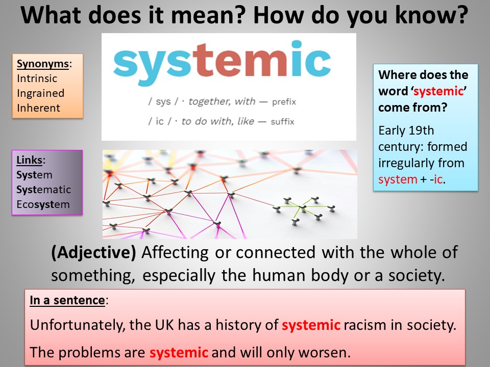 Image of Word of the week - Systemic