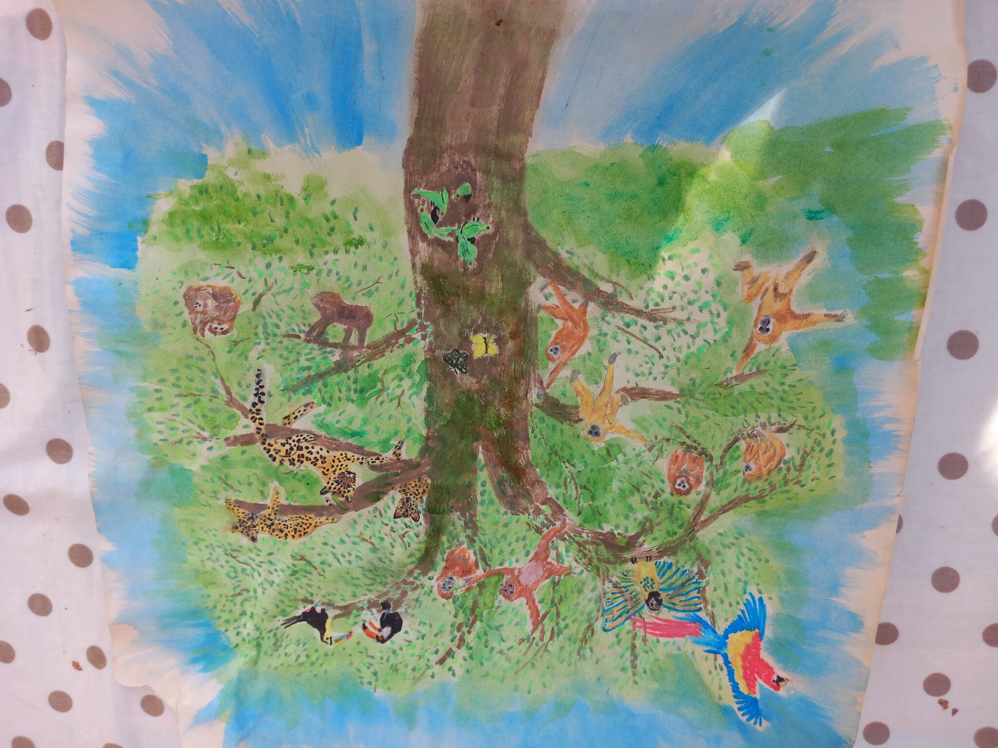 Image of Celebrating pupil's artwork