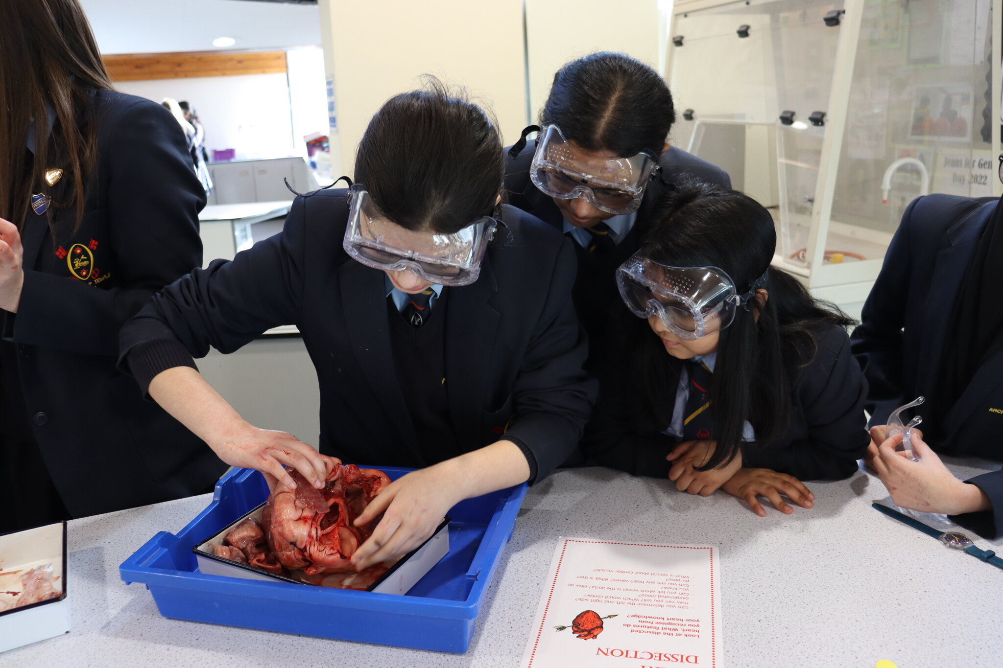 Image of KS3 Valentine's Science Spectacular