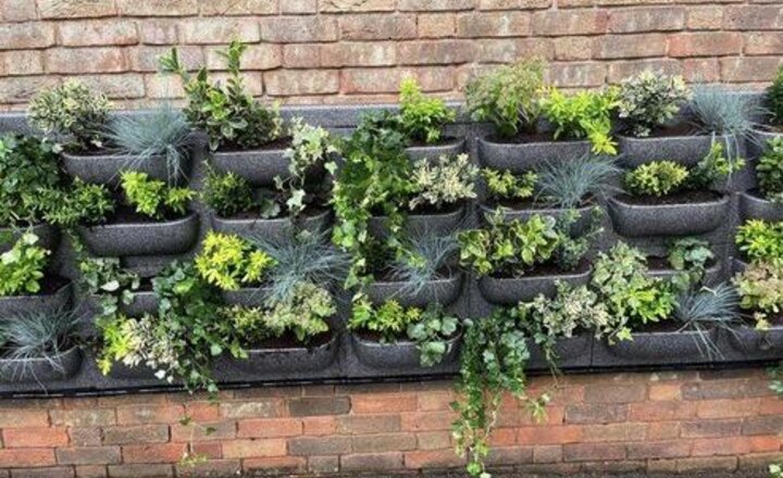 Image of Green Wall at Henley in Arden