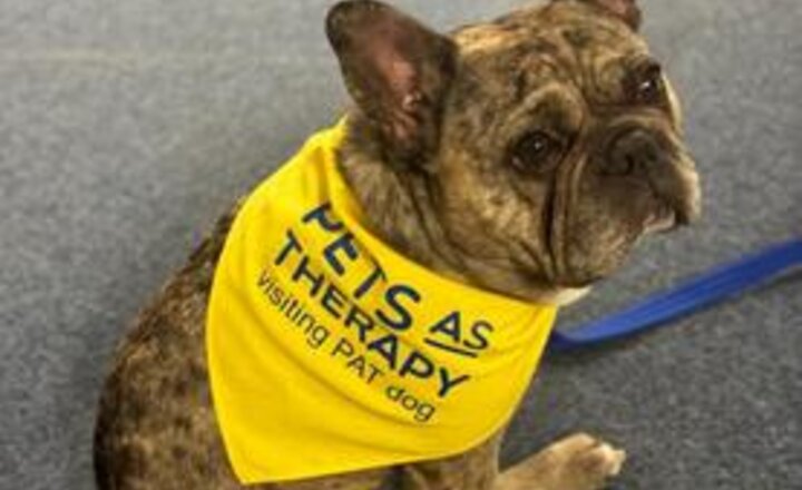 Image of Bug's achievement