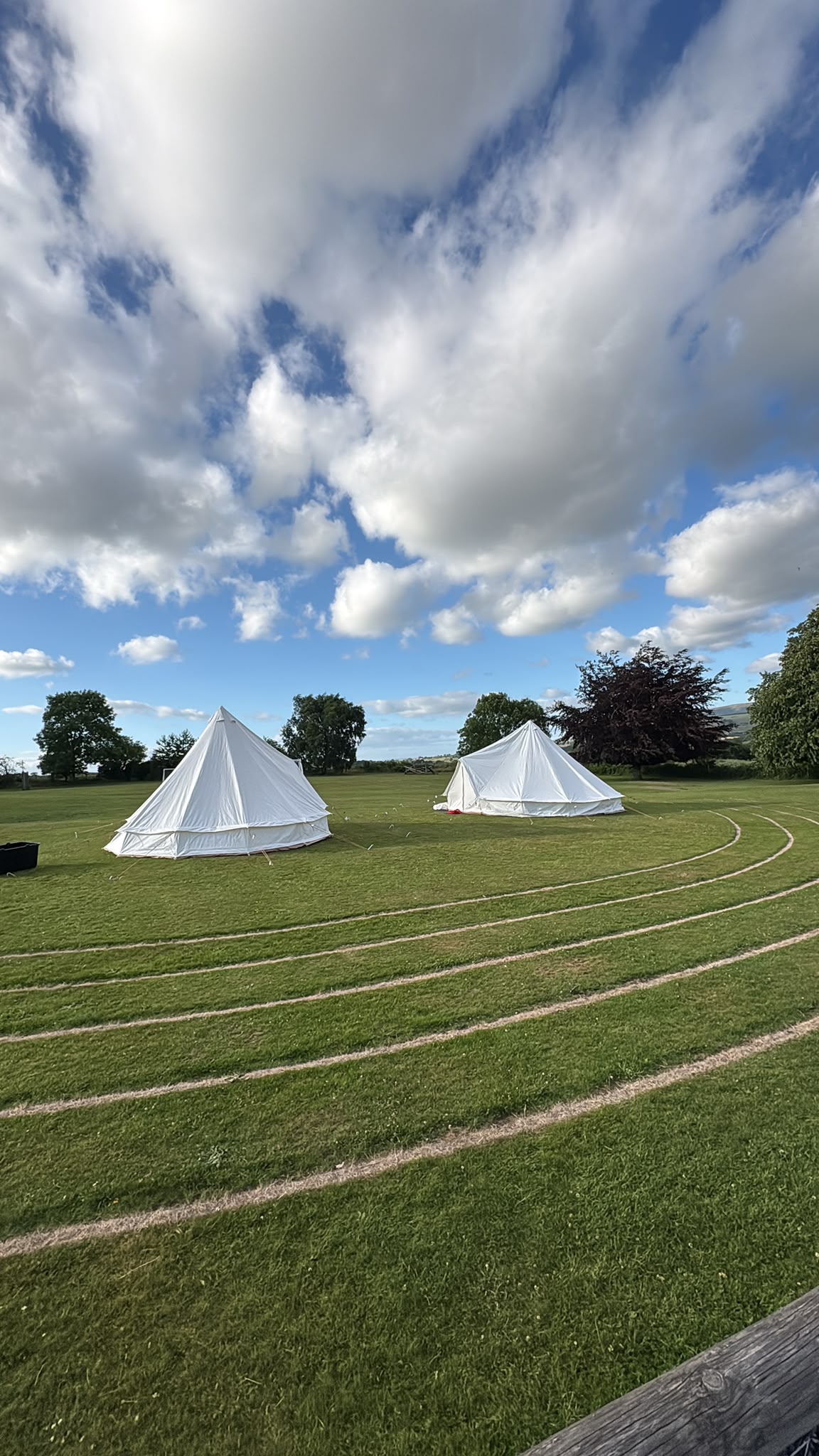 Image of Year 3 and 4 Camp Out Under the Stars