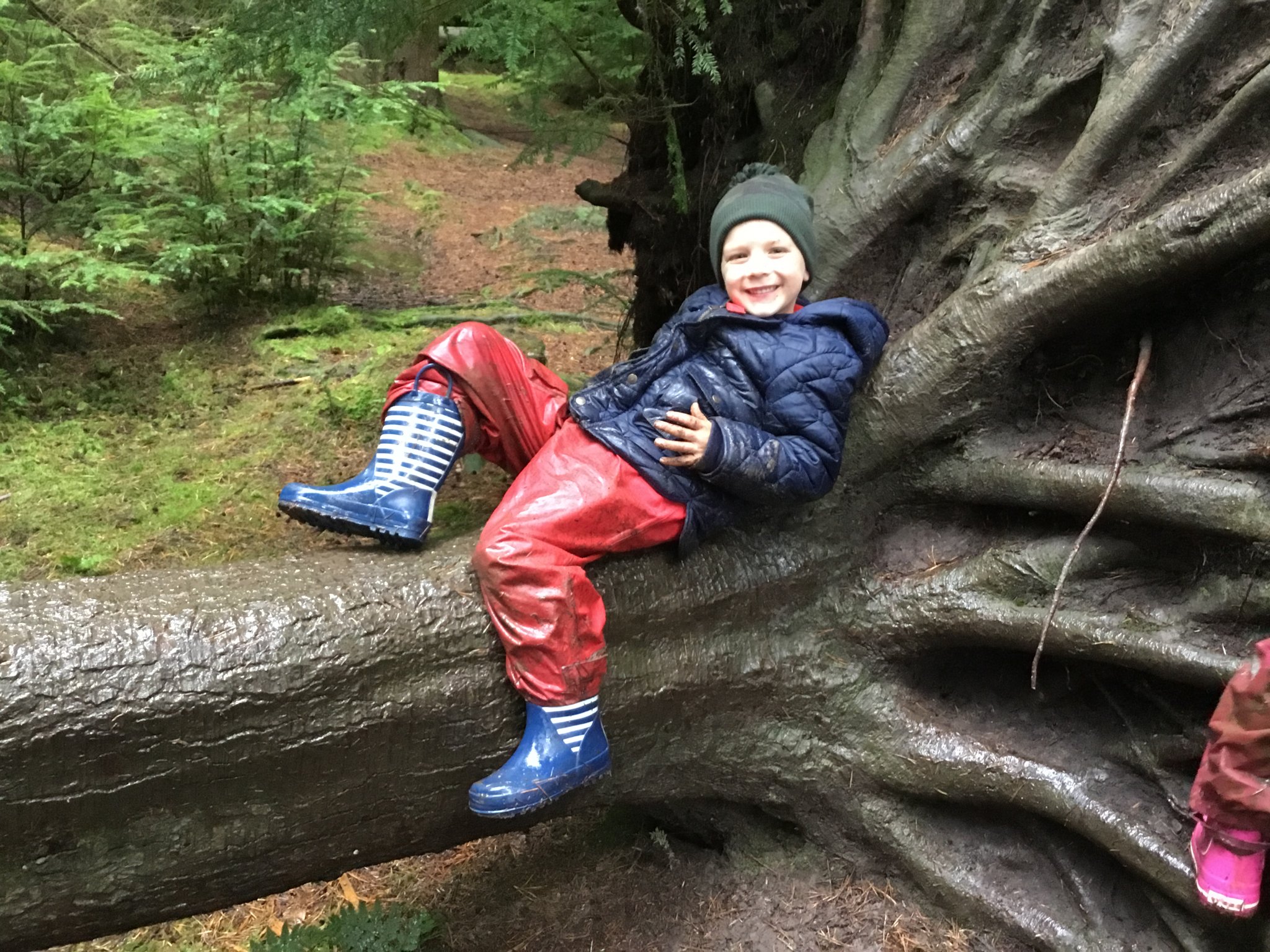 Image of Forest School