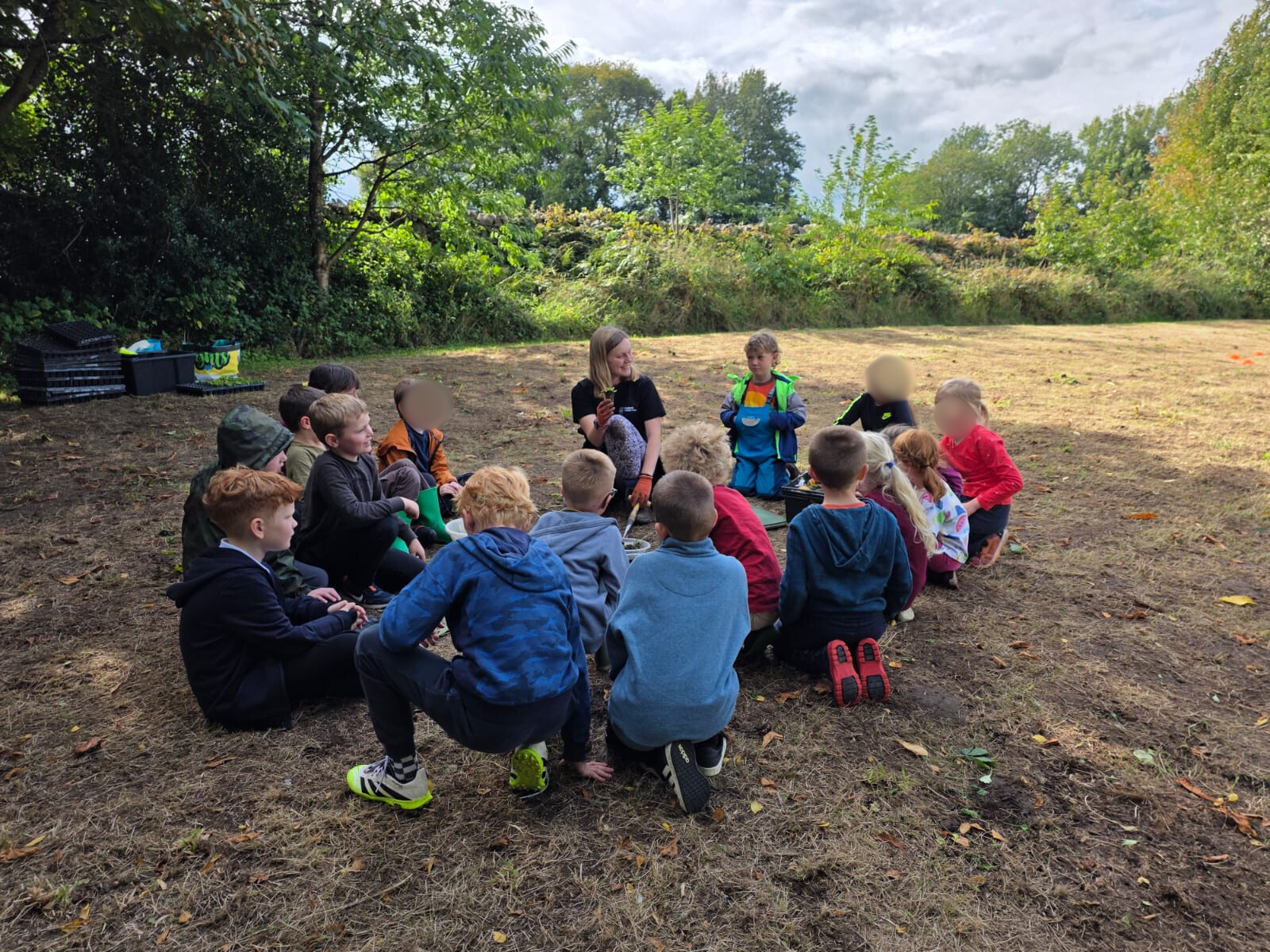 Image of Wildflower Planting - Ainstable Millennium Green
