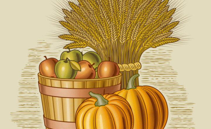 Image of Harvest Festival