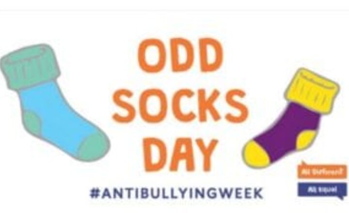 Image of Odd Socks Day