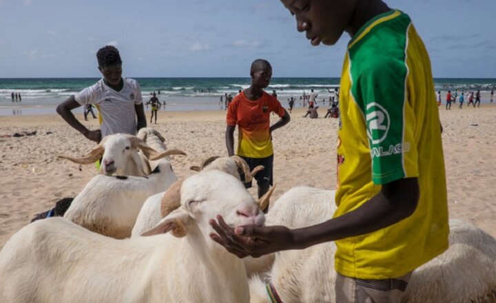 Image of Claire Griffell worked with Y6: Twinning school in Senegal