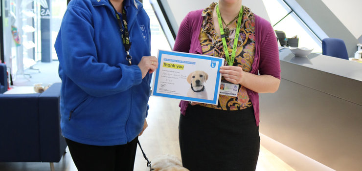 Image of Fundraising for the Guide Dogs