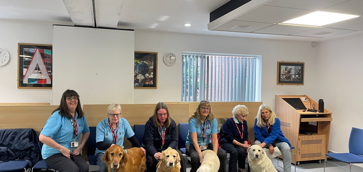 Image of Guide dogs visit Ashton Sixth Form College!