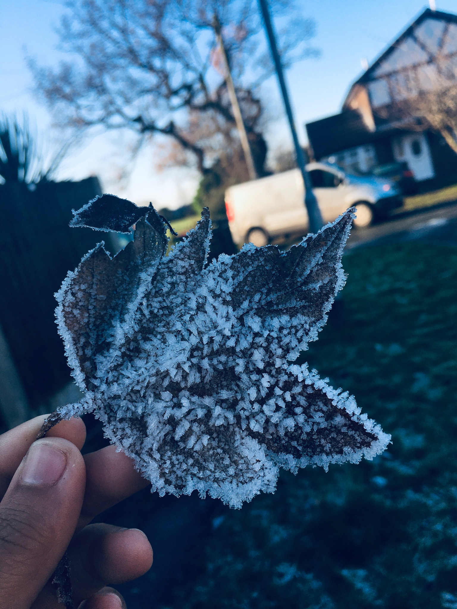 Image of STEM - Winter Solstice Photography Competition Winners