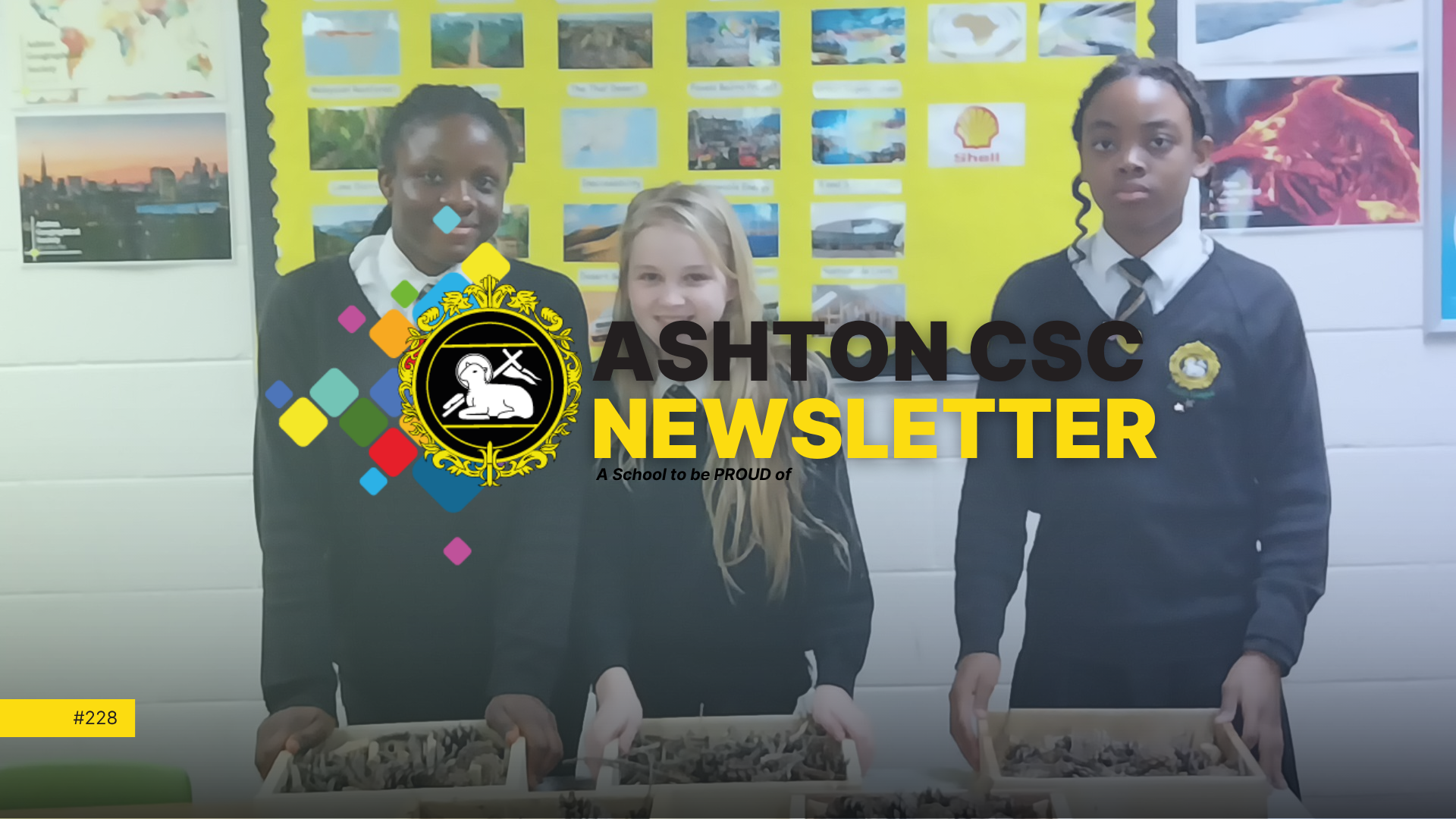 Image of Newsletter Issue #228