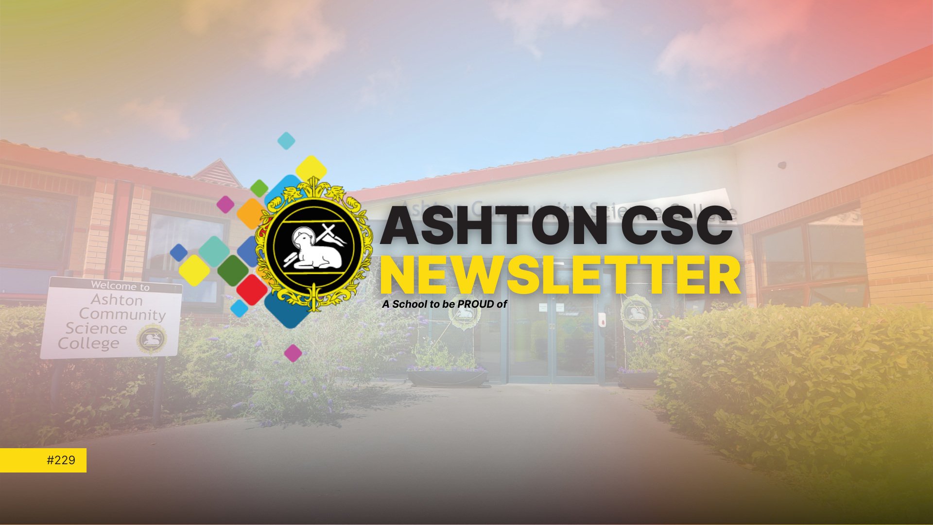 Image of Newsletter Issue #229