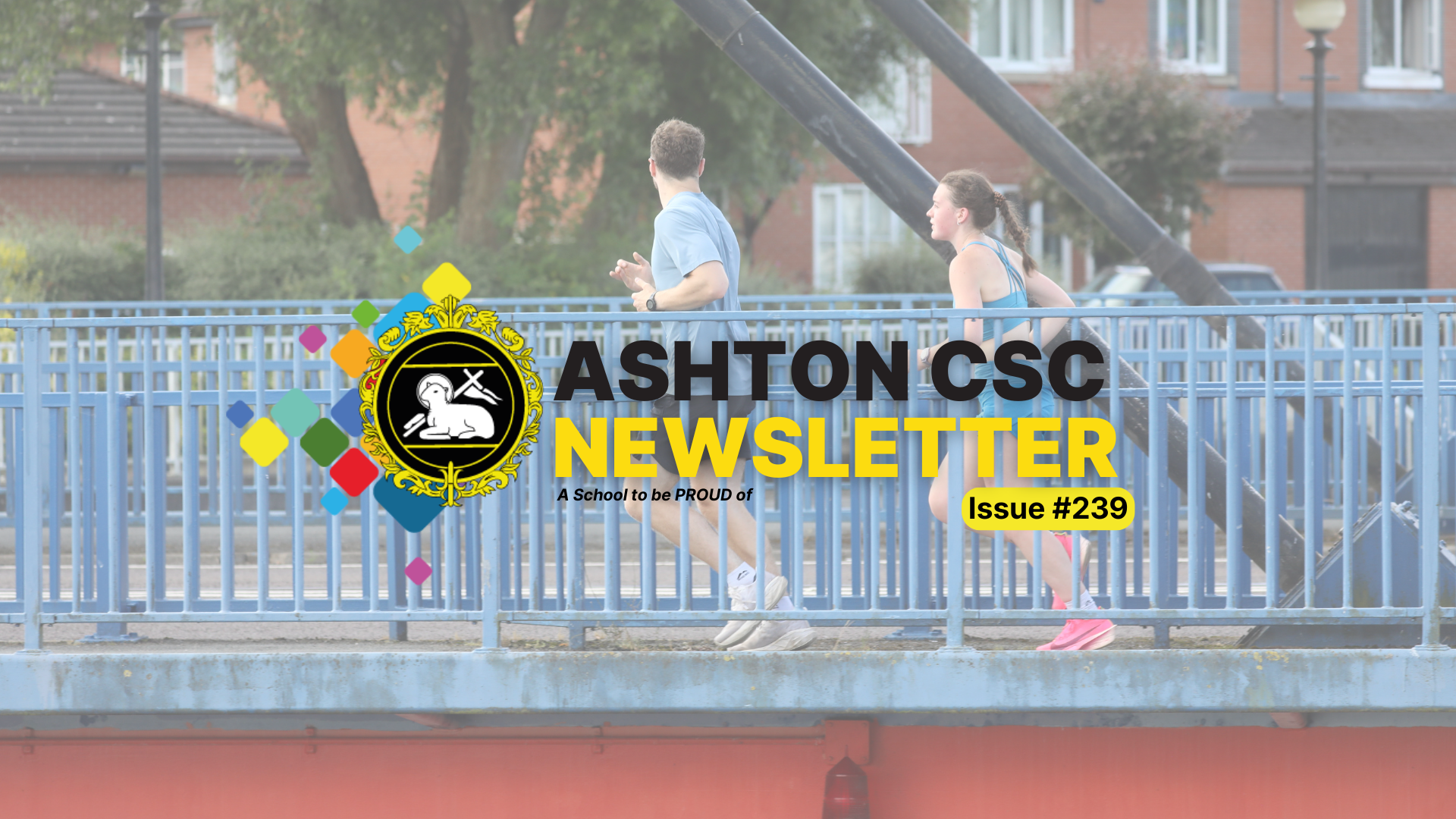 Image of Newsletter Issue #239